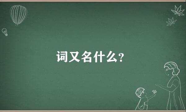 词又名什么？