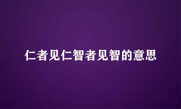 仁者见仁智者见智的意思