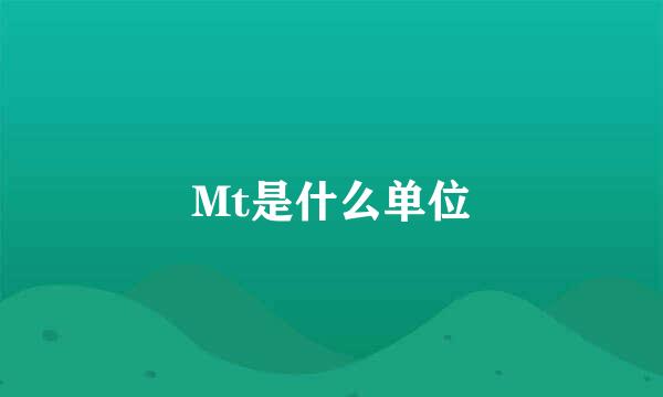 Mt是什么单位