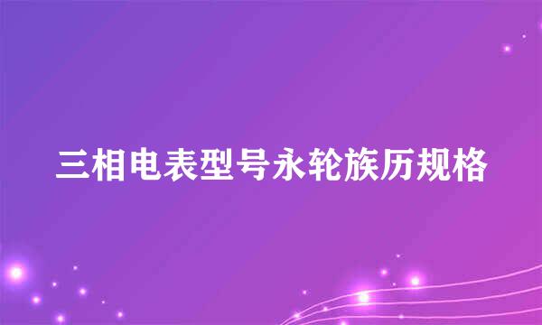 三相电表型号永轮族历规格