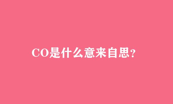 CO是什么意来自思？