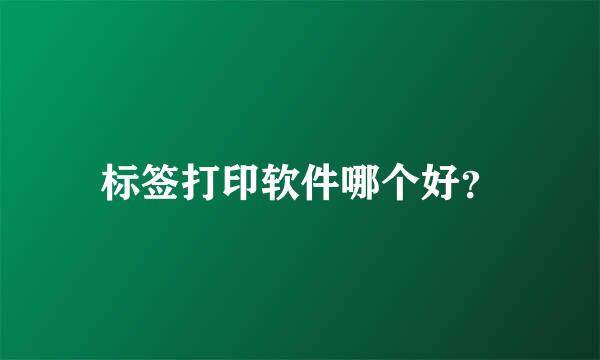 标签打印软件哪个好？