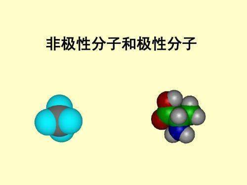 （化学）怎么辨别极性分子与非极性分子？