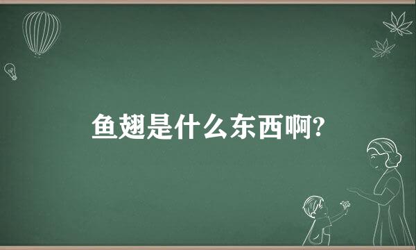 鱼翅是什么东西啊?