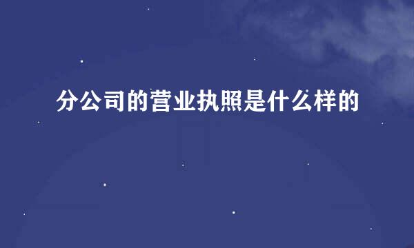 分公司的营业执照是什么样的