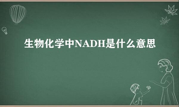 生物化学中NADH是什么意思