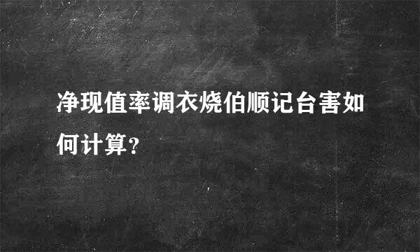 净现值率调衣烧伯顺记台害如何计算？