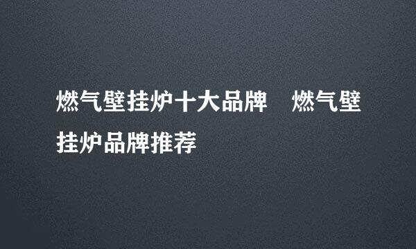 燃气壁挂炉十大品牌 燃气壁挂炉品牌推荐