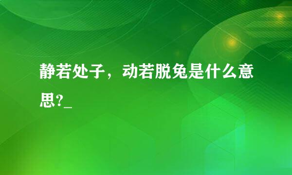 静若处子，动若脱兔是什么意思?_