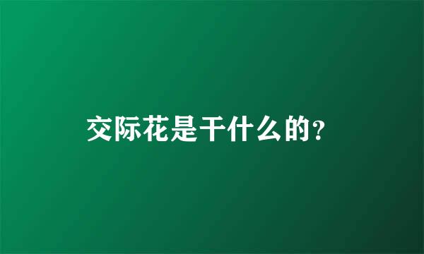 交际花是干什么的？