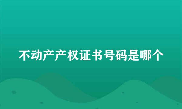 不动产产权证书号码是哪个