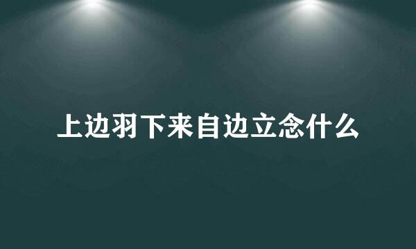 上边羽下来自边立念什么