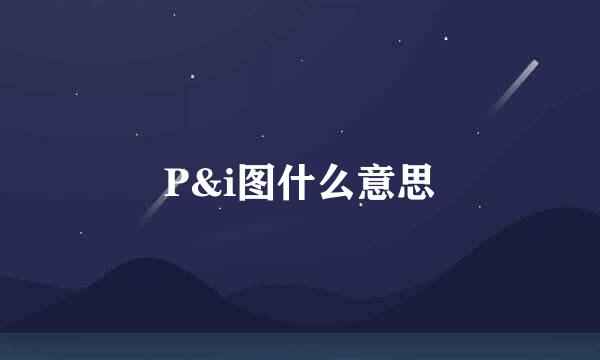 P&i图什么意思