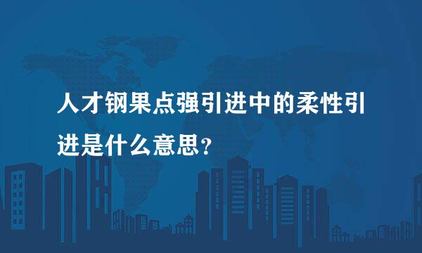 人才钢果点强引进中的柔性引进是什么意思？