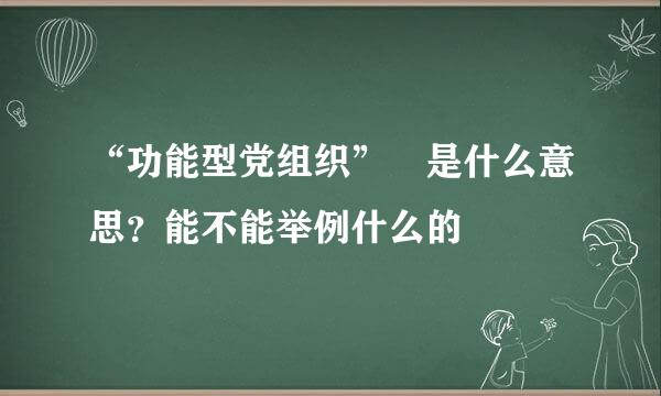 “功能型党组织” 是什么意思？能不能举例什么的