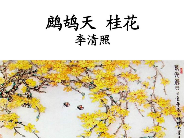 何须浅碧深红色，自是花中第一流是什么意思？