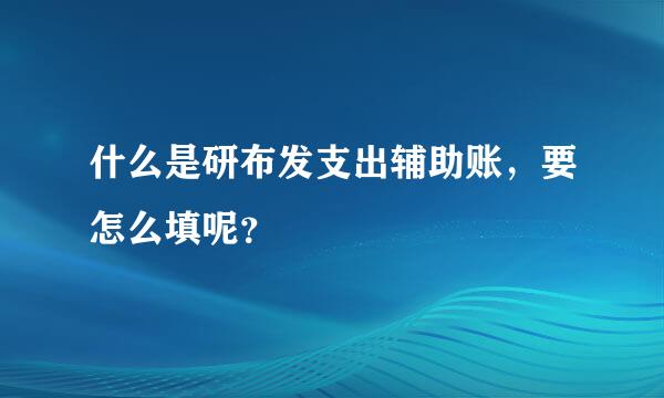 什么是研布发支出辅助账，要怎么填呢？