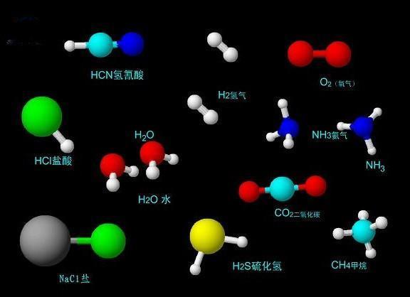 有机物和无机物的区别是什么？来自？