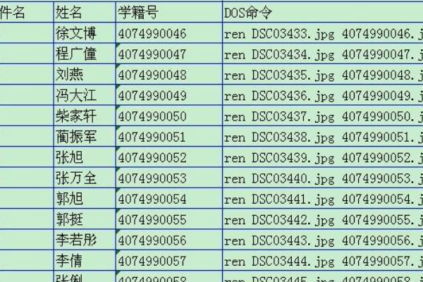 全国的学籍号来自是多少？