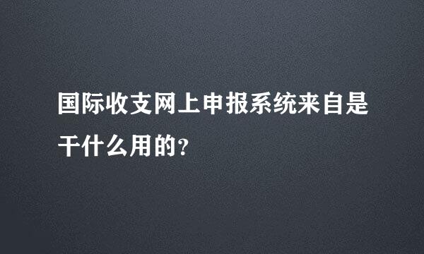 国际收支网上申报系统来自是干什么用的？