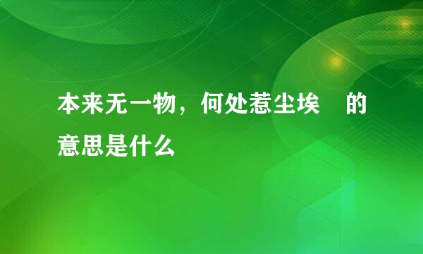 本来无一物，何处惹尘埃 的意思是什么