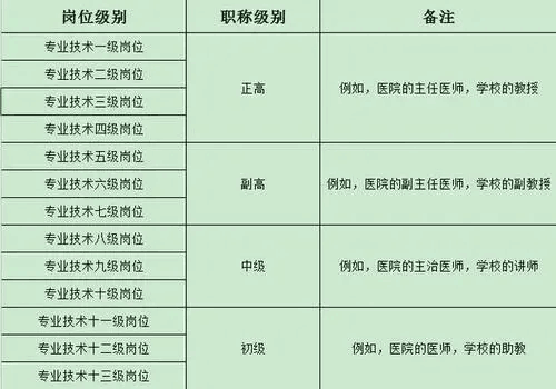 专业技术岗位等级划分标准