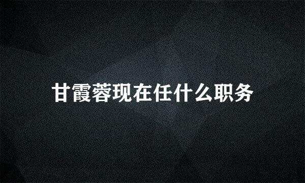 甘霞蓉现在任什么职务