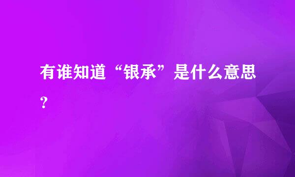 有谁知道“银承”是什么意思？