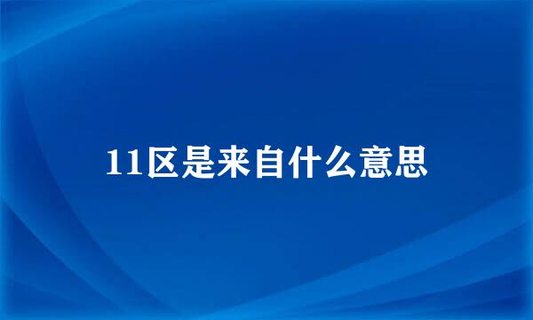 11区是来自什么意思