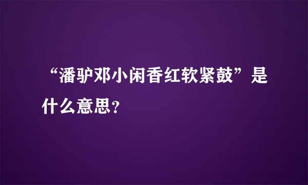 “潘驴邓小闲香红软紧鼓”是什么意思？