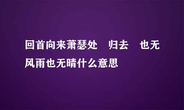 回首向来萧瑟处 归去 也无风雨也无晴什么意思