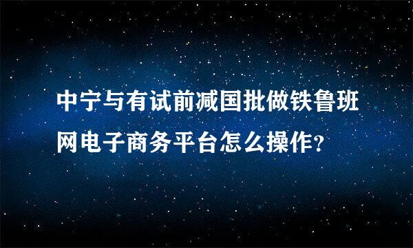 中宁与有试前减国批做铁鲁班网电子商务平台怎么操作？