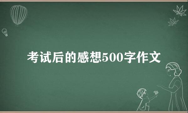 考试后的感想500字作文