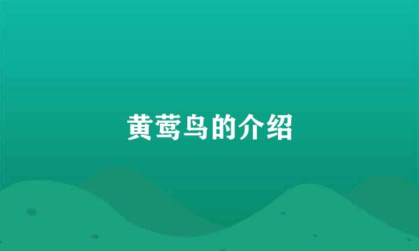 黄莺鸟的介绍