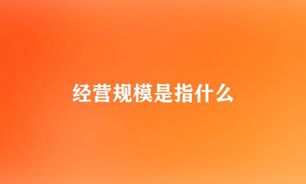 经营规模是指什么