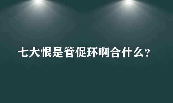 七大恨是管促环啊合什么？