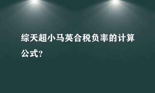 综天超小马英合税负率的计算公式？