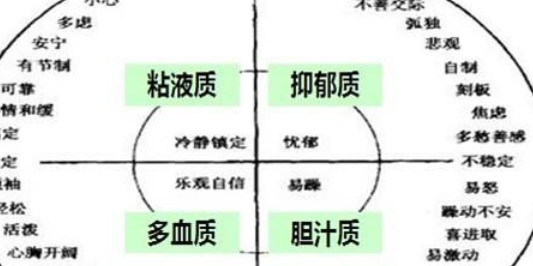 有关于胆汁质、多血质、粘液质和抑郁质的介绍。