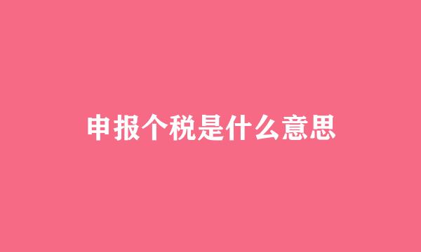 申报个税是什么意思