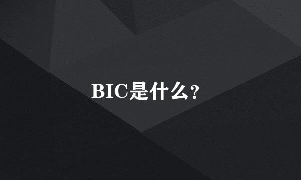 BIC是什么？