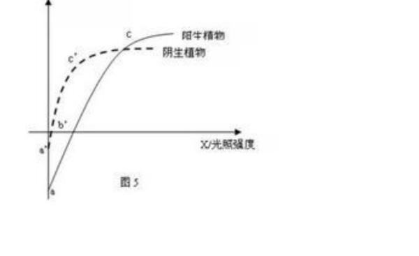 照度lx来自是什么意思？怎么读取？