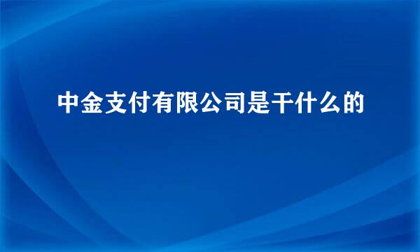 中金支付有限公司是干什么的