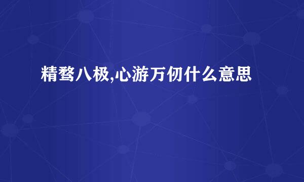 精骛八极,心游万仞什么意思