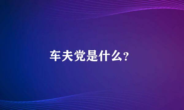 车夫党是什么？