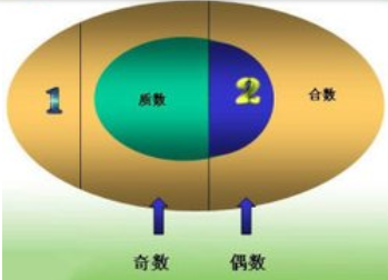 什么叫质数、什么叫合数？