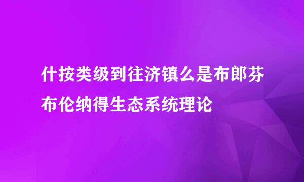 什按类级到往济镇么是布郎芬布伦纳得生态系统理论