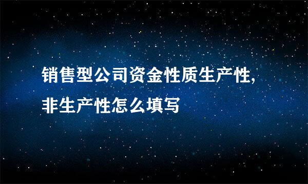 销售型公司资金性质生产性,非生产性怎么填写