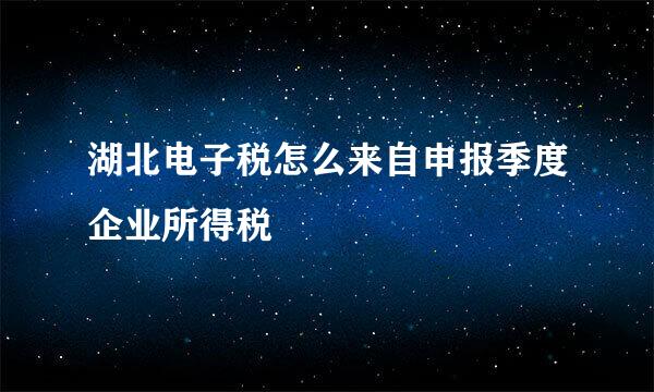 湖北电子税怎么来自申报季度企业所得税