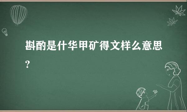 斟酌是什华甲矿得文样么意思?