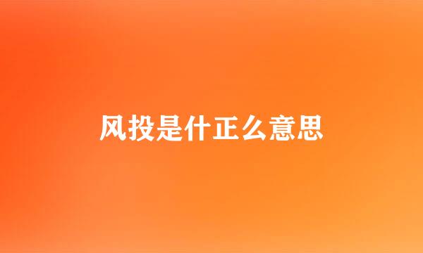 风投是什正么意思